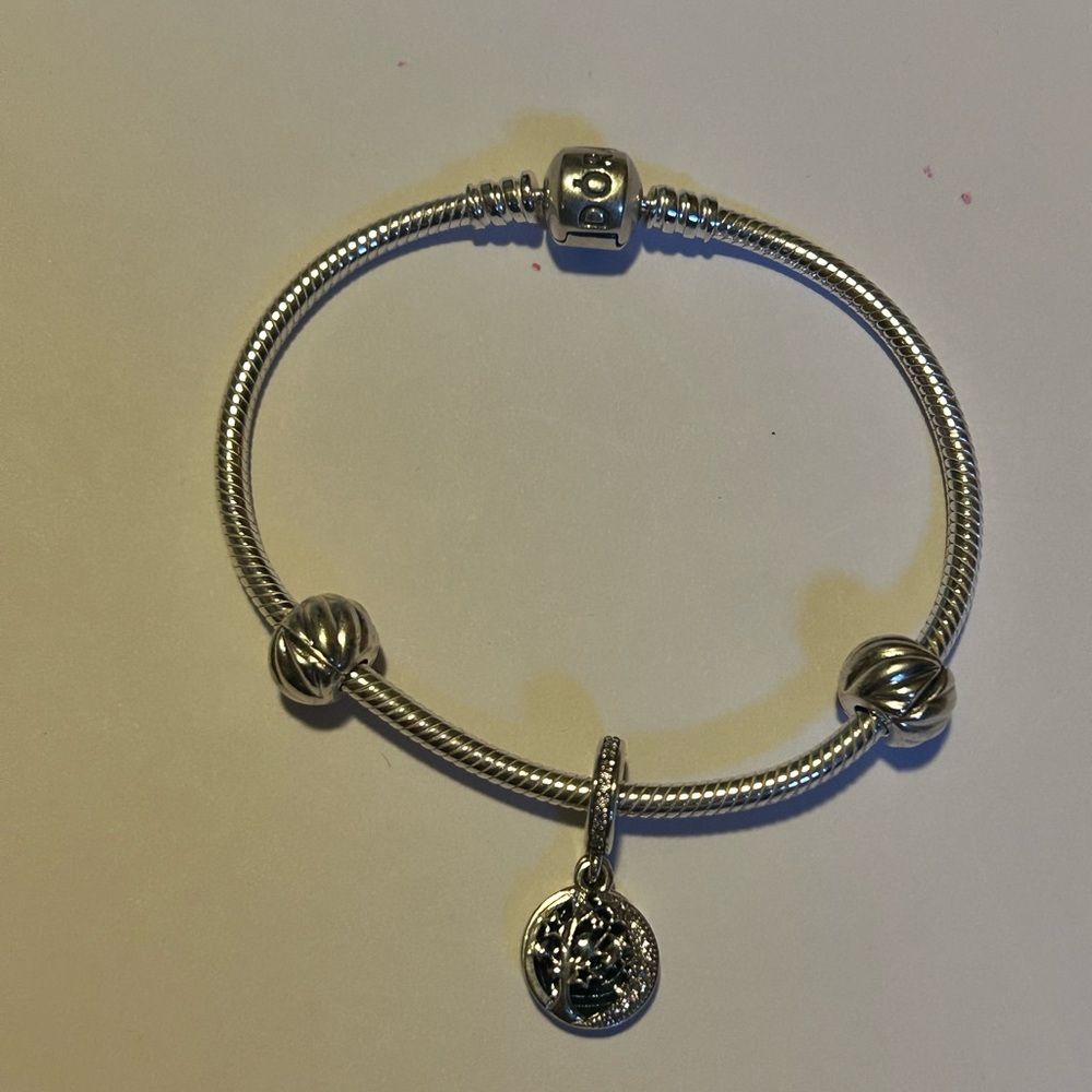 Pandora Silver Charm Bracelet with Intricate Details